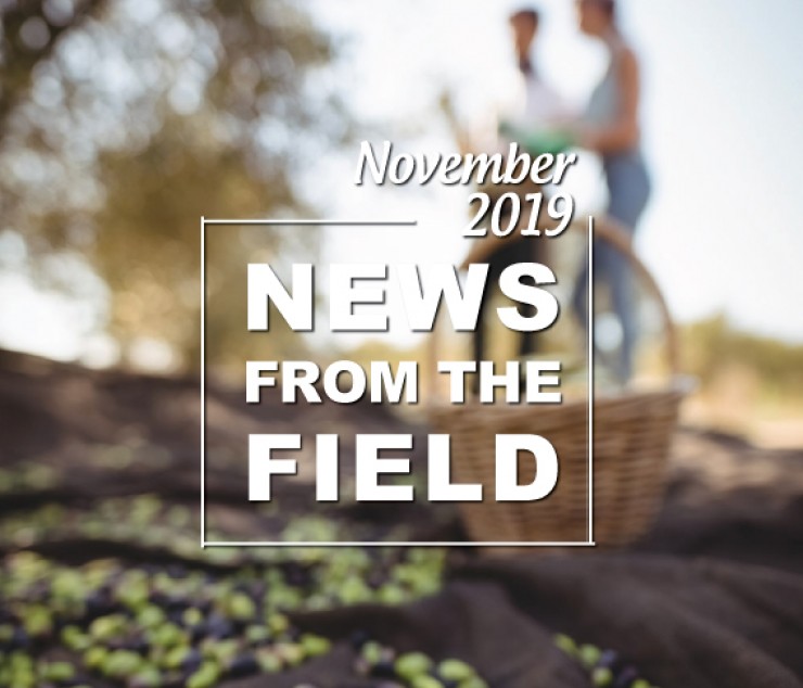 Check out our news from the field